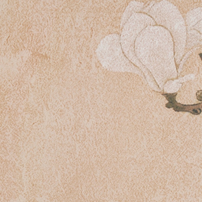 Mural Pavo Real - BEREZNE  | MURAKE - 23805