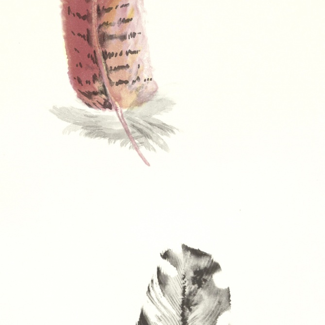 Papel Pintado Plumas de ave - VOGEL 01 | MURAKE - 11571