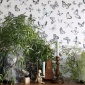 Papel Pintado Mariposas - VLINDER 01 | MURAKE - 11581