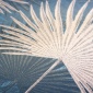 Papel Pintado Hojas Palmera - CORUM 01 | MURAKE - 87118