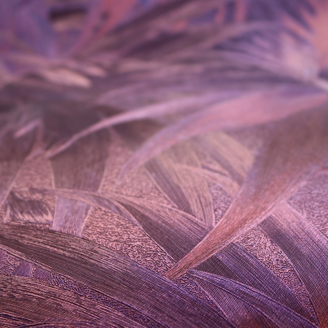 Papel Pintado Hojas - HONAZ 03 | MURAKE - 87103