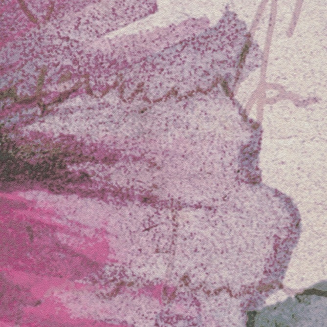 Mural Amapolas - FREILA  | MURAKE - 23841