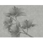Mural Flor de lirio - SALAR  | MURAKE - 23843