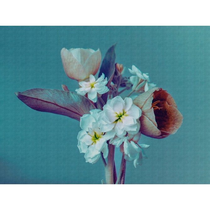 Mural Flores - CULLAR  | MURAKE - 23835