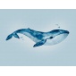 Mural Ballena - ZUFRE  | MURAKE - 23858
