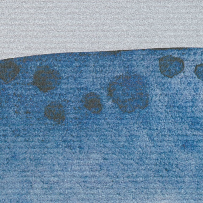 Mural Ballena - ZUFRE  | MURAKE - 23858