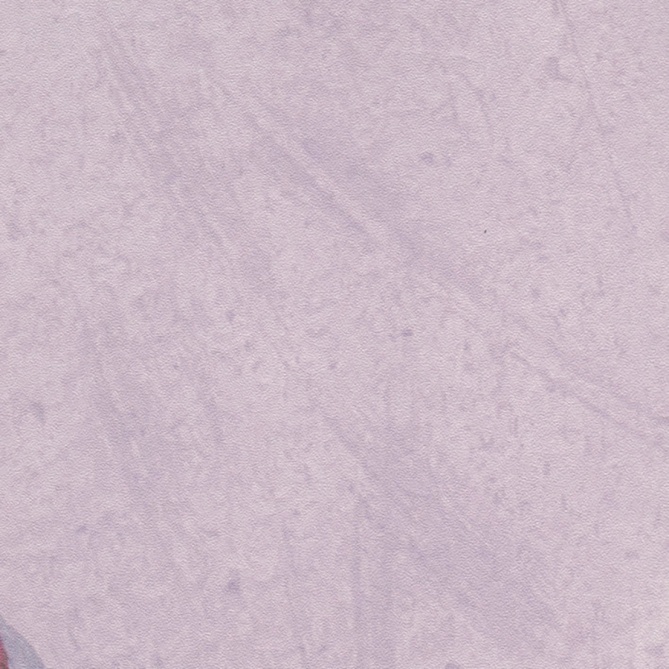 Mural Pájaros sobre ramas - ALANIS  | MURAKE - 23867