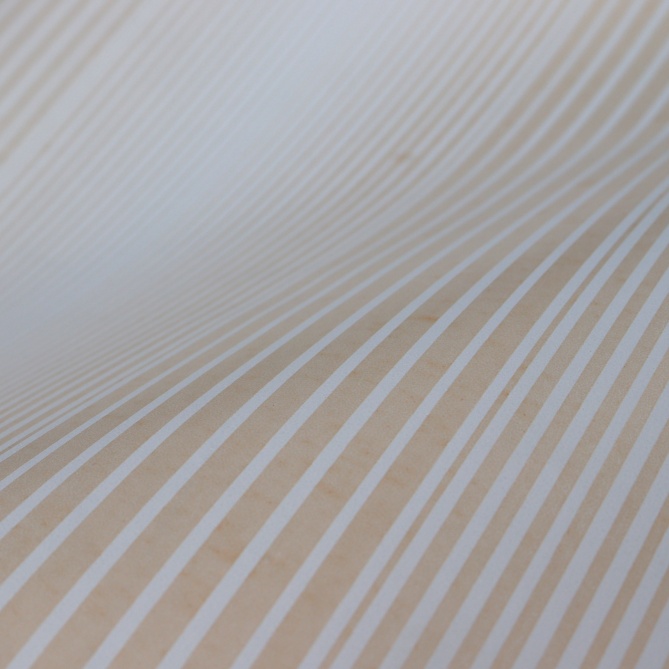 Papel Pintado Rayas difuminadas - MIRANO 04 | MURAKE - 779264