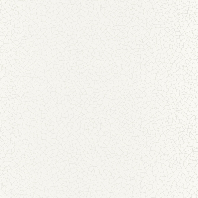 Papel Pintado Craquelado - BRUSQUE 01 | MURAKE - 6709-41