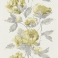 Papel Pintado Enredadera flores - CURNIER  | MURAKE - 6707-20