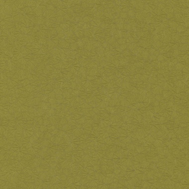 Papel Pintado Hoja de Ginko - HANCHES  | MURAKE - 6705-84