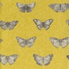 Papel Pintado Mariposas - LOISAIL 01 | MURAKE - 6707-67