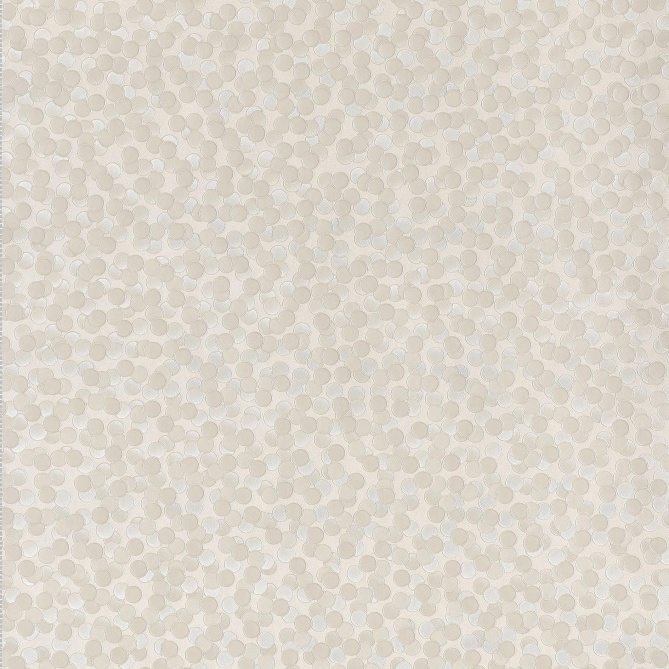 Papel Pintado Monedas - CREPOL 01 | MURAKE - 6706-75