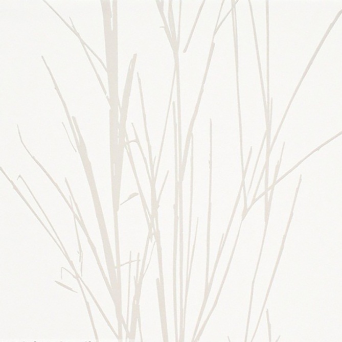 Papel Pintado Ramas - KIPILI  | MURAKE - 541691