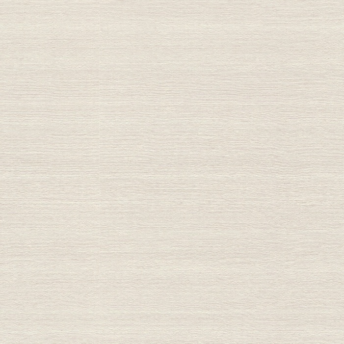 Papel Pintado TELARAÑA M528D879 - 1