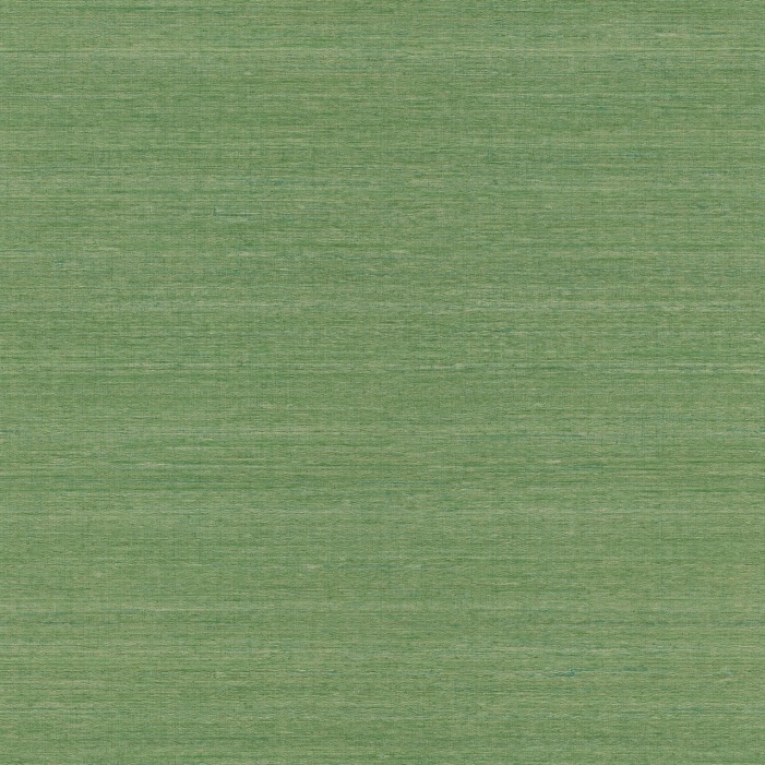 Papel Pintado TELARAÑA M528D862 - 2