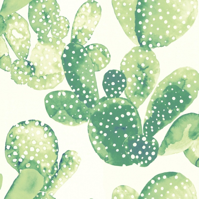 Papel Pintado Hojas de cactus - KAKTUS 02 | MURAKE - 11607