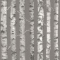 Papel Pintado Troncos abedul - PALKID 04 | MURAKE - 11589