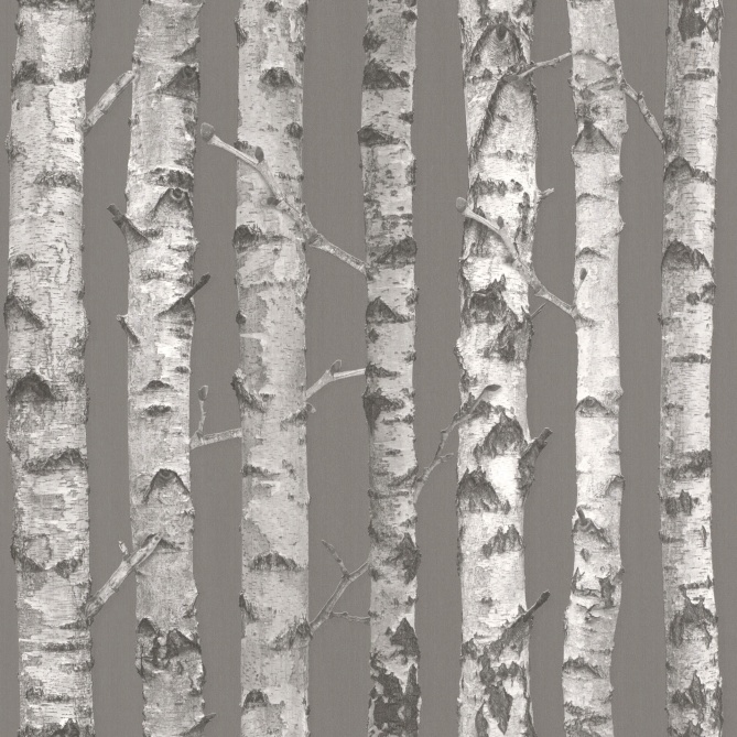 Papel Pintado Troncos abedul - PALKID 04 | MURAKE - 11589