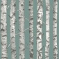 Papel Pintado Troncos abedul - PALKID 03 | MURAKE - 11588