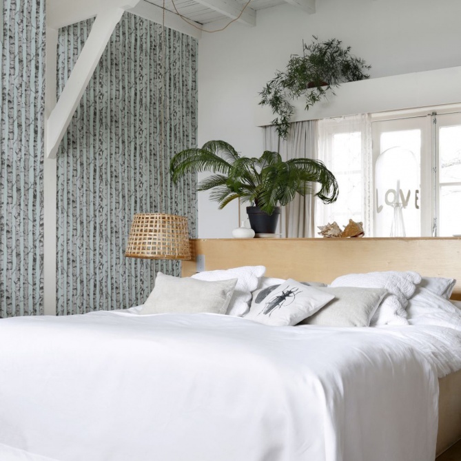 Papel Pintado Troncos abedul - PALKID 02 | MURAKE - 11587