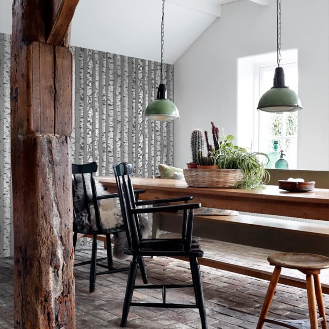 Papel Pintado Troncos abedul - PALKID 04 | MURAKE - 11589