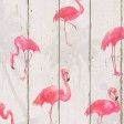 Papel Pintado FLAMENCOS B479B720 - 2