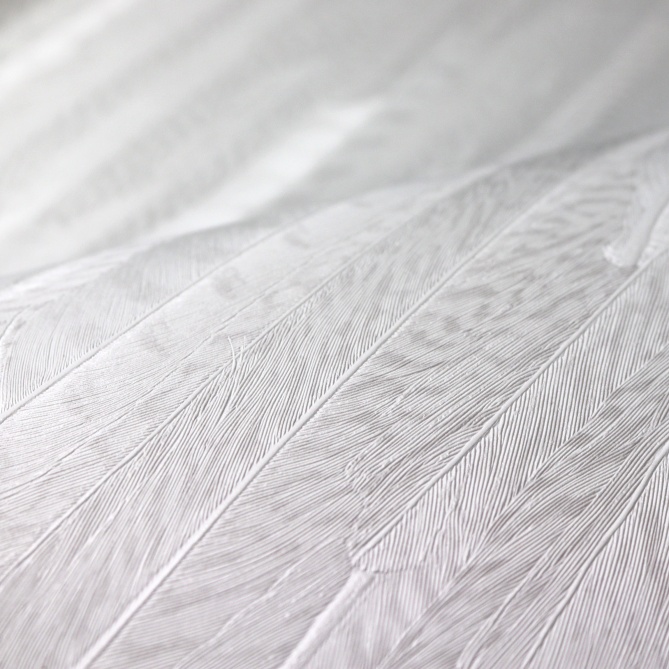 Papel Pintado Plumas - MARDIN 02 | MURAKE - 44742