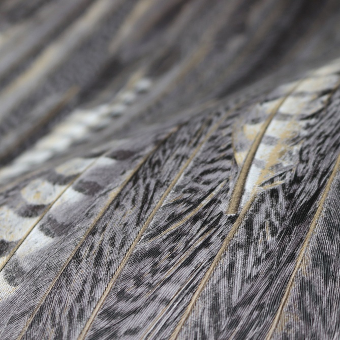 Papel Pintado Plumas - MARDIN 01 | MURAKE - 44741