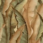 Papel Pintado Hoja platanero - MANDAWA 03 | MURAKE - 45043