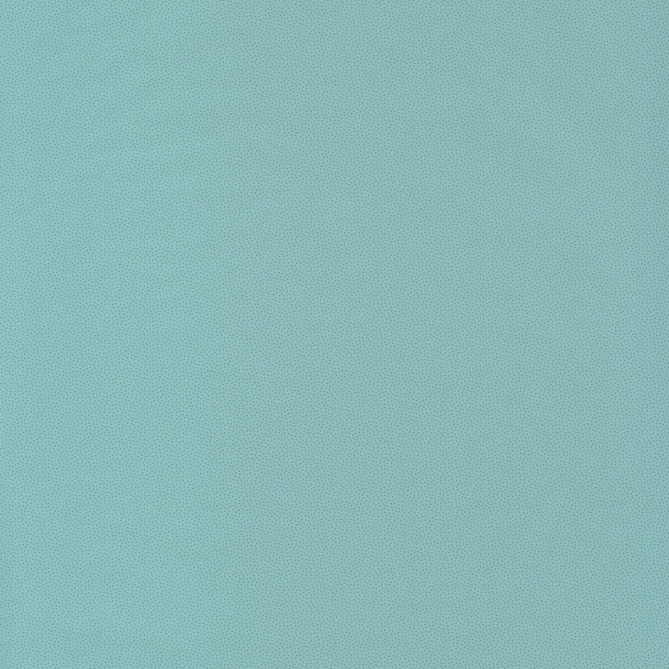 Papel Pintado Puntos - IMIZU 06 | MURAKE - 21096