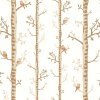 Papel Pintado Troncos de árboles y pájaros - DANGRIGA 02 | MURAKE - 85792