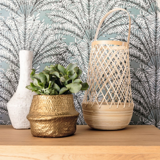 Papel Pintado Hojas de palma en abanico - TELSON 04 | MURAKE - 86234