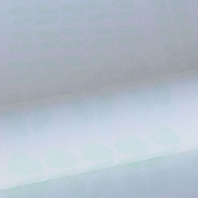 Papel Pintado Hojas - DEOLI 02 | MURAKE - 7012-72