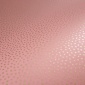 Papel Pintado Puntos - IMIZU 04 | MURAKE - 21094