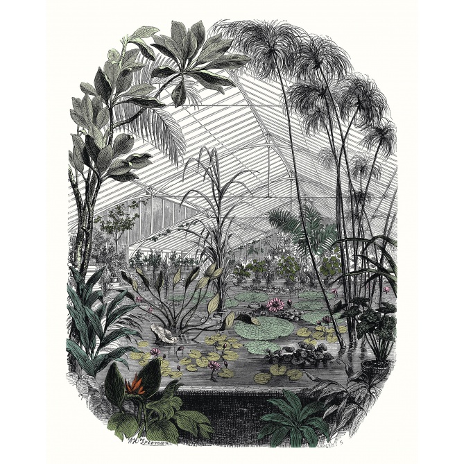 Mural Invernadero - HELLA 01 | MURAKE - 85892