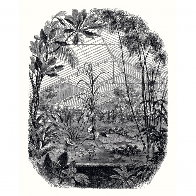 Mural Invernadero - HELLA 02 | MURAKE - 85893