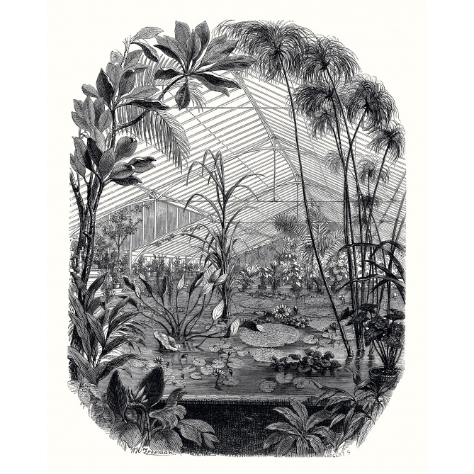 Mural Invernadero - HELLA 02 | MURAKE - 85893