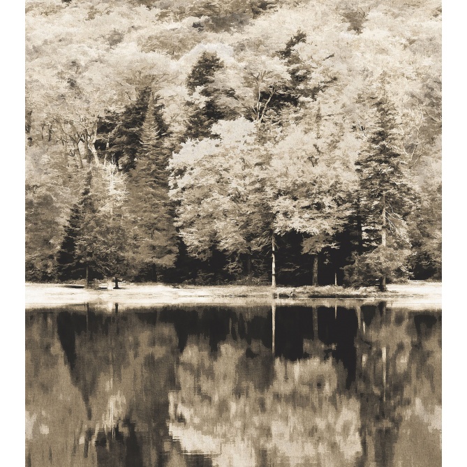 Mural Bosque de otoño - AFNAGIL 02 | MURAKE - 85904