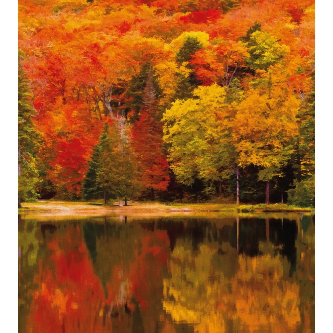 Mural Bosque de otoño - AFNAGIL 01 | MURAKE - 85903