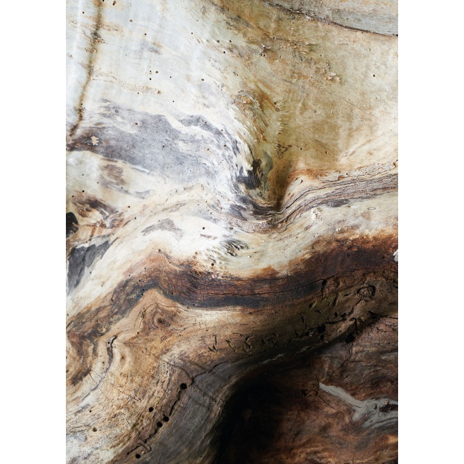 Mural Madera de un sauce - GARBA  | MURAKE - 85917