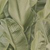 Papel Pintado Hojas banano - CASERTA 02 | MURAKE - 86552