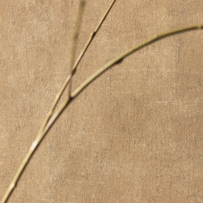 Papel Pintado Textura - ENGEN 04 | MURAKE - 7021-64