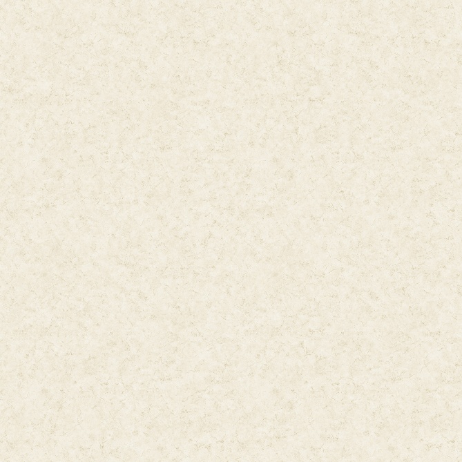 Papel Pintado Estuco veneciano - ANDEBU 05 | MURAKE - 87865