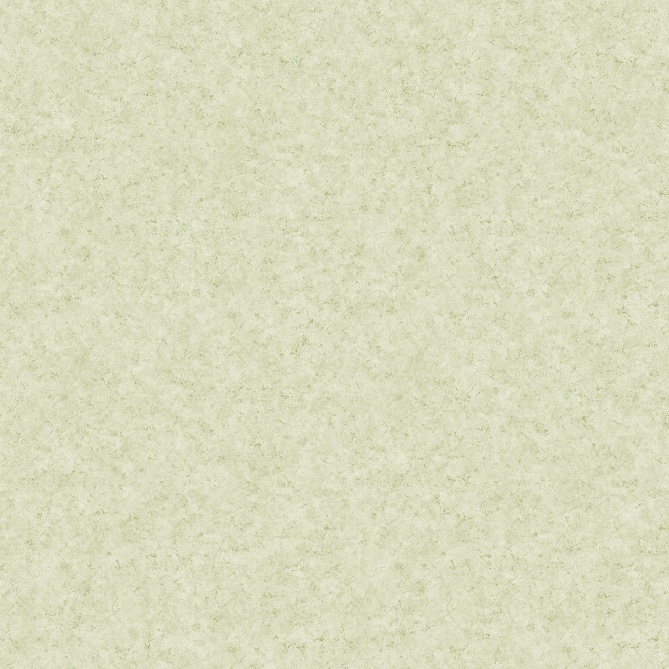 Papel Pintado Estuco veneciano - ANDEBU 06 | MURAKE - 87866