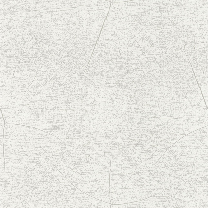Papel Pintado Anillos de tronco - NEIBA 01 | MURAKE - 7017-61
