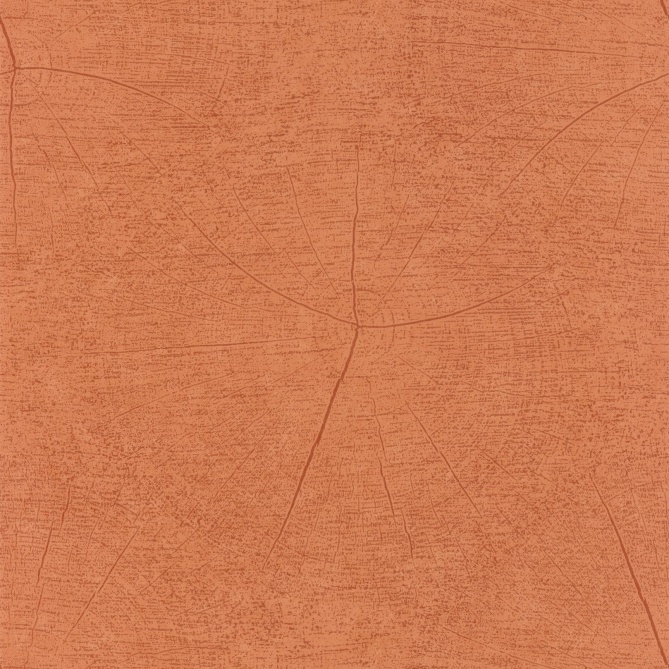 Papel Pintado Anillos de tronco - NEIBA 03 | MURAKE - 7017-63
