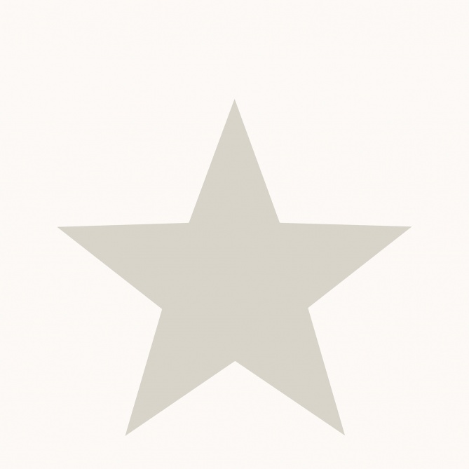 Papel Pintado Estrellas grandes - FERROS 01 | MURAKE - 878401