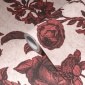 Papel Pintado Rosas - TREVERIS 04 | MURAKE - 878644