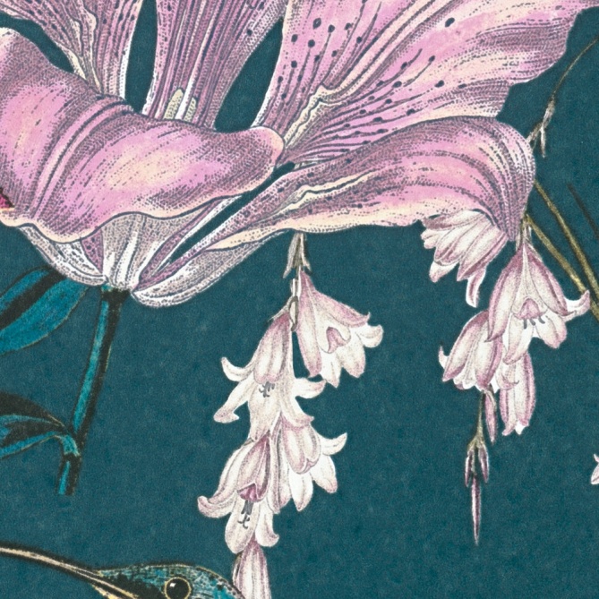 Papel Pintado Aves entre flores de hibisco - LISMORE 02 | MURAKE - 878692